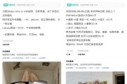 占卜免费闲鱼：LABUBU搜索量环比上涨1000%，供不应求下现租赁新形式