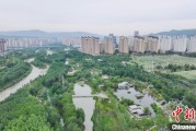 占卜免费西宁市举办六五环境日主题宣传活动